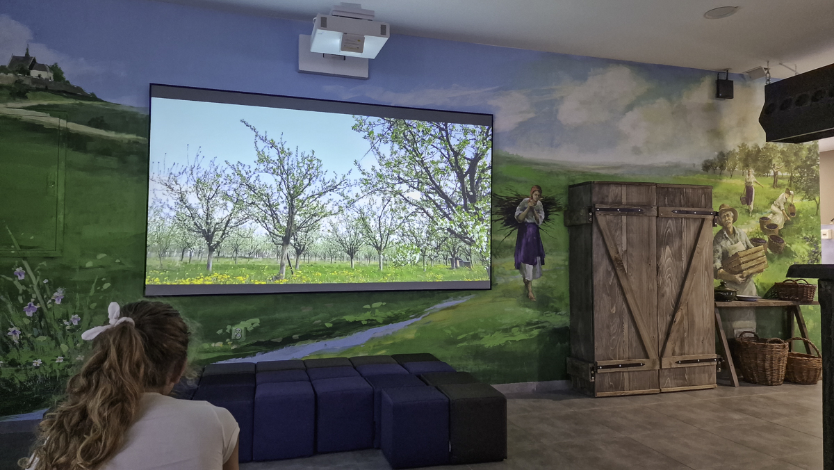 Sala z projektorem w Muzeum Śliwki, gdzie odbywa się pokaz filmu z kwitnącymi wiśniami.
